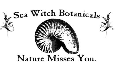 Sea Witch Botanicals  Sustainable Connections