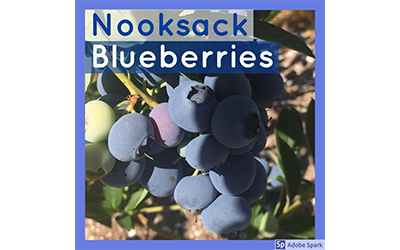 Nooksack Blueberries