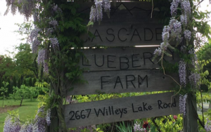 Cascade Blueberry Farm