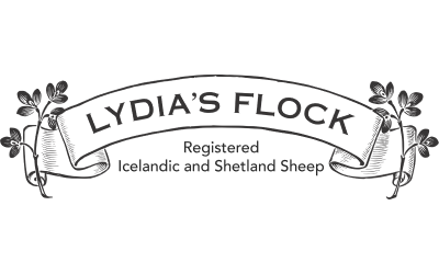Lydia’s Flock Icelandic and Shetland Sheep