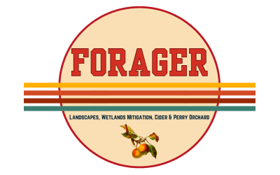 Forager Landscapes