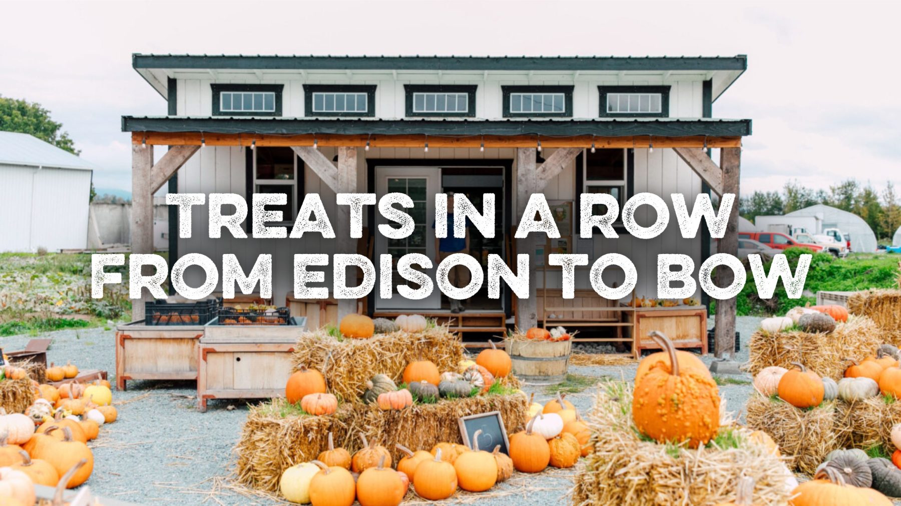 Treats in a Row from Edison to Bow