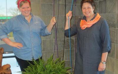 Taking Care of Each Other: Colleen Unema and her staff at Brio Laundry