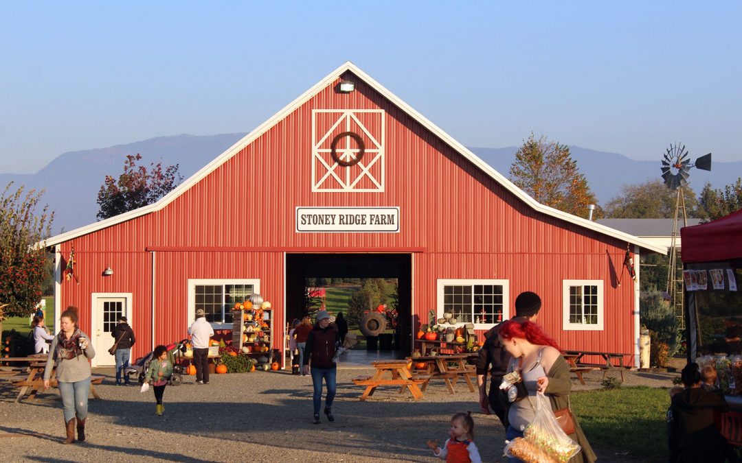 Events to celebrate Eat Local Month – The Northern Light