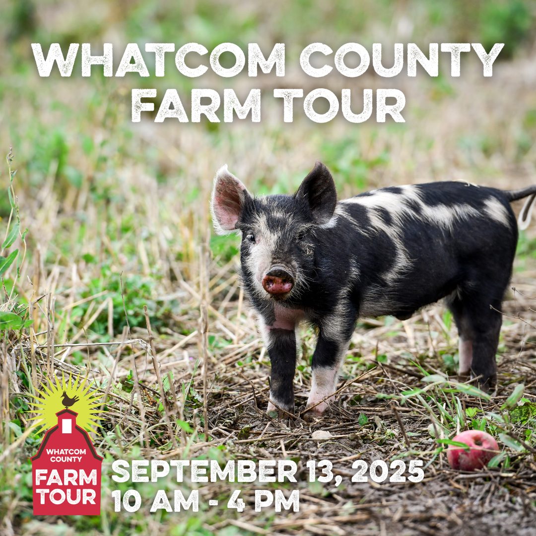 Whatcom County Farm Tour