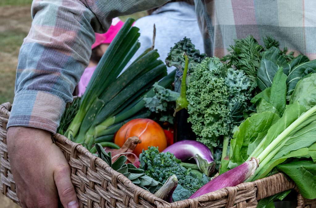 Bellingham Herald: Eat Local Month returns