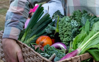 Bellingham Herald: Eat Local Month returns