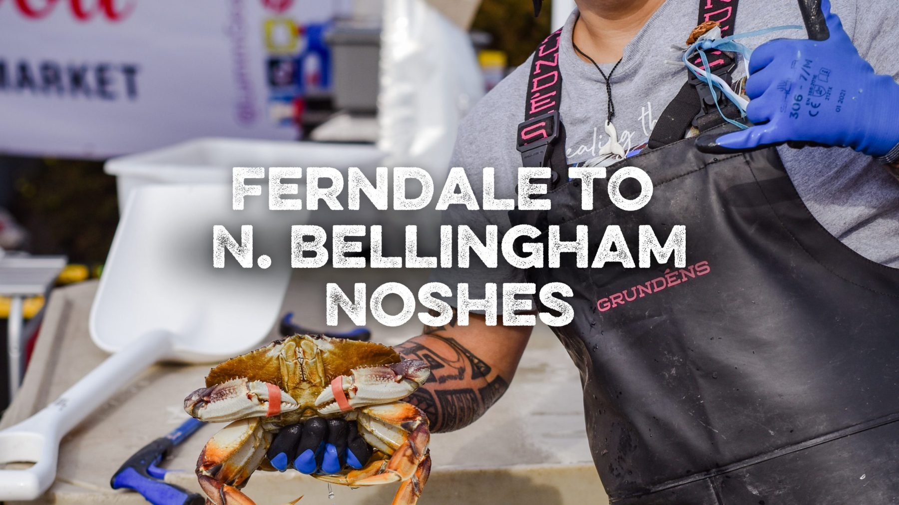 Ferndale to N. Bellingham Noshes