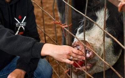 Find the Fresh in Your Food: Sustainable Connections’ Eat Local Month – Bellingham Alive