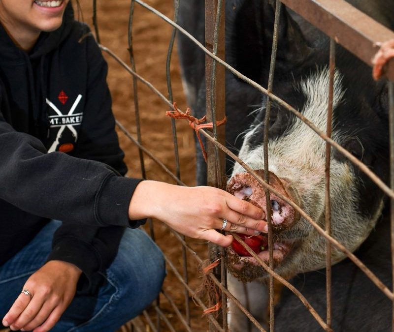 Find the Fresh in Your Food: Sustainable Connections’ Eat Local Month – Bellingham Alive