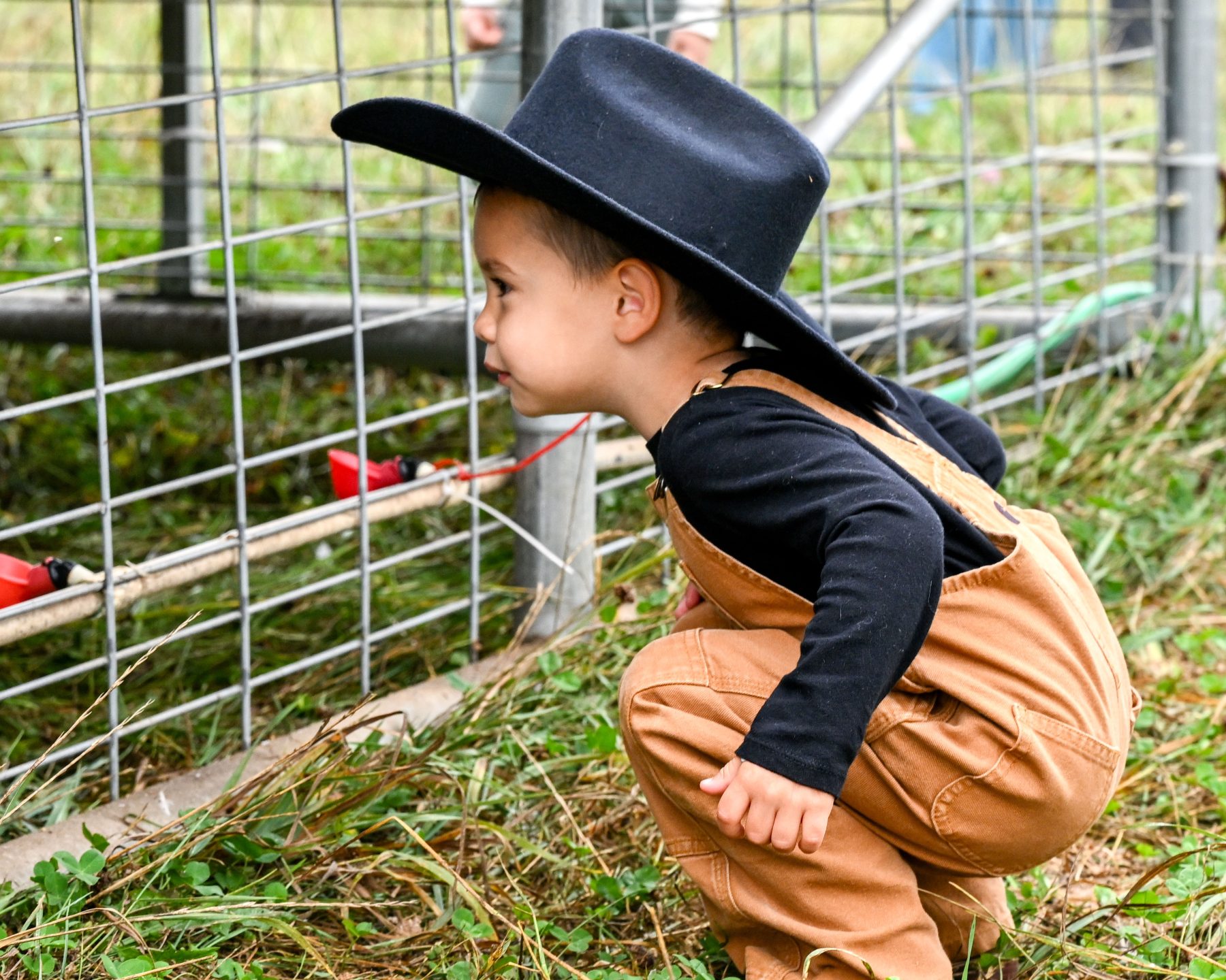 child in cowboy hat meets farm animals