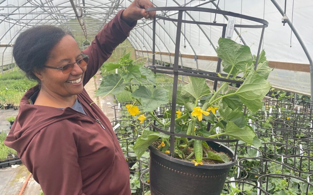 Meet Cascade Cuts, the Plant Nursery You Need to Know About