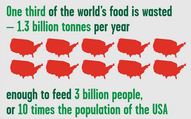 Food Waste Infographic