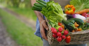 Healthy food from local farms