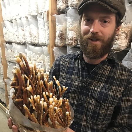 Cascadia Mushrooms