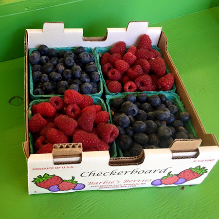 Variety Box Barbies Berries