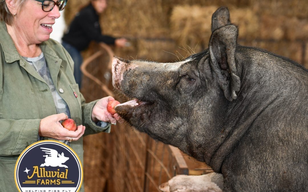 Whatcom Farm Tour: A behind-the-scenes look at 15 farms – Lynden Tribune