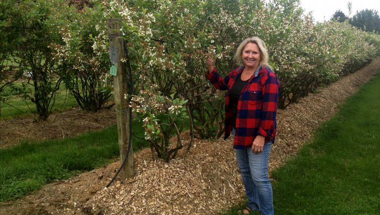 Barbies Berries | Sustainable Connections