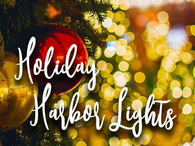 Blaine's Holiday Harbor Lights