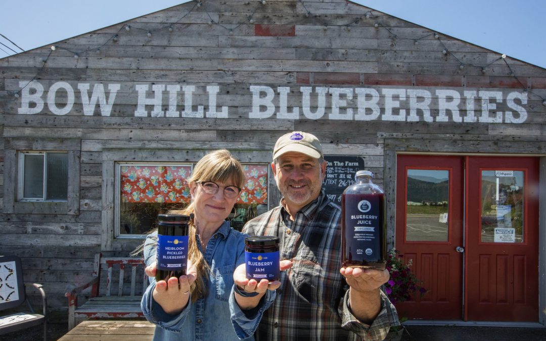 Bow Hill Blueberries 2