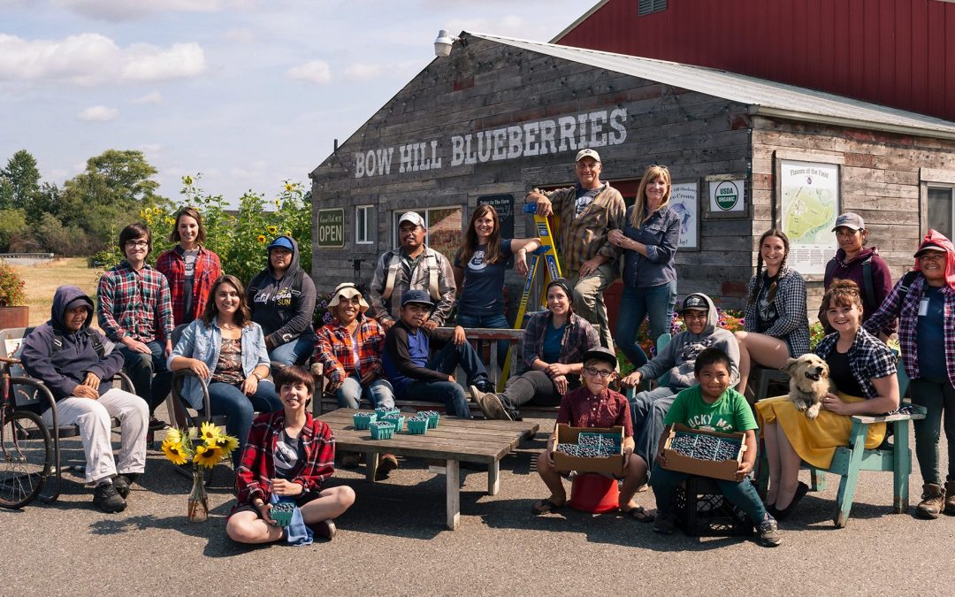 BowHillBlueberriesHeader