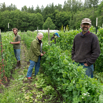 Cedarville Farm: Growing Organically Since 1989