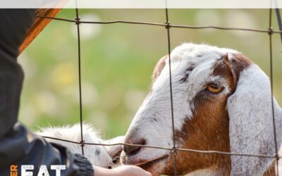 Sustainable Connections’ Whatcom County Farm Tour – My Bellingham Now