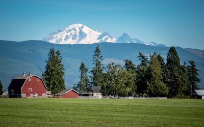 Jessica Gillis: Whatcom Farm Tours – My Bellingham Now