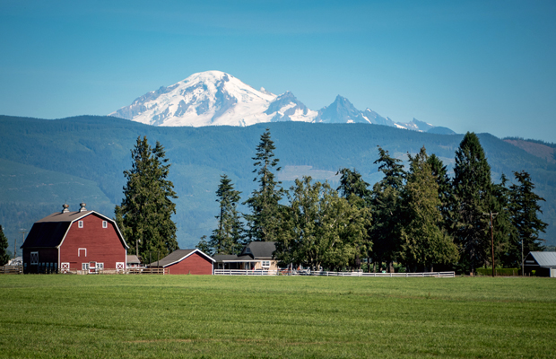 Jessica Gillis: Whatcom Farm Tours – My Bellingham Now