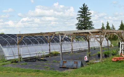 Whatcom Land Trust accepts interim ownership of Cloud Mountain Farm Center – My Bellingham Now