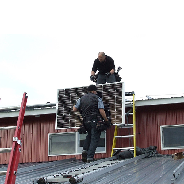 Dandelion-Organic-Solar-Installation