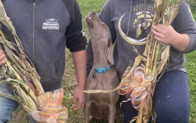 Ten Fold Farm: Sharing Food & Courage With Community