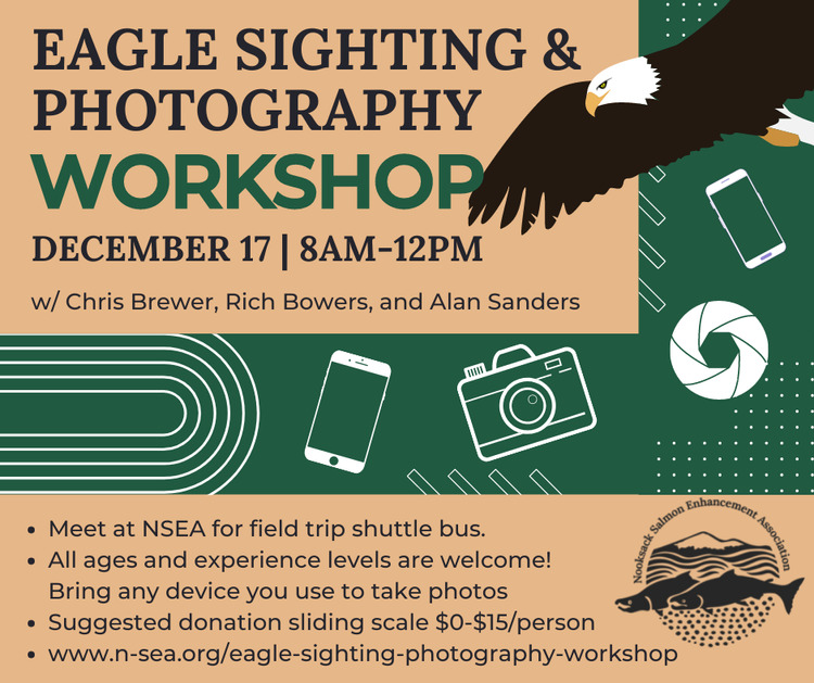 Eagle Sighting and Photography Workshop