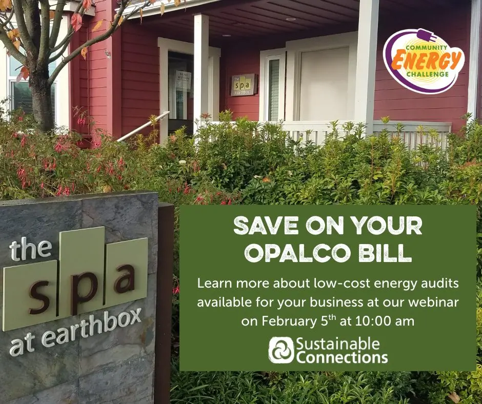 Webinar: Save energy for your San Juan County business!