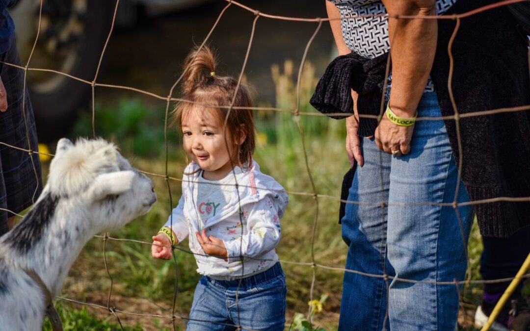 Enjoy An Agricultural Adventure on the Whatcom County Farm Tour – Whatcom Talk