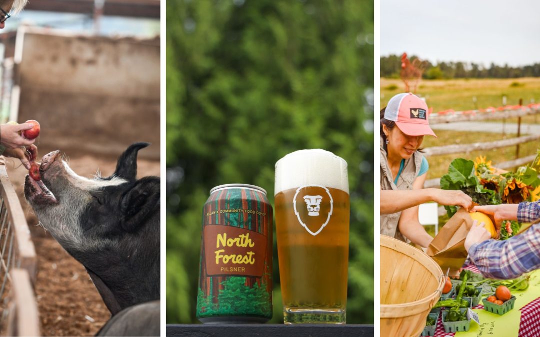 New Local Beer Collab in Honor of Washington’s Eat Local Month! – Sip Magazine