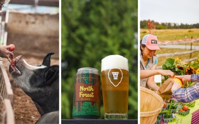 New Local Beer Collab in Honor of Washington’s Eat Local Month! – Sip Magazine