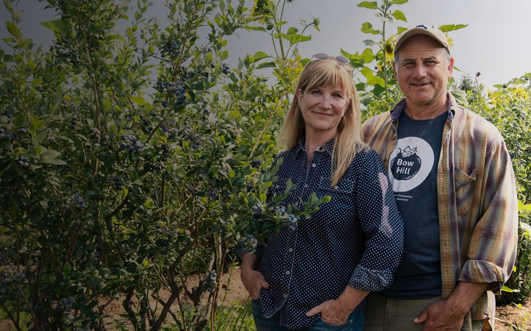 FF-Program-Header-Image