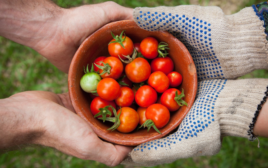 Farm-Fresh-Workplaces-Header2