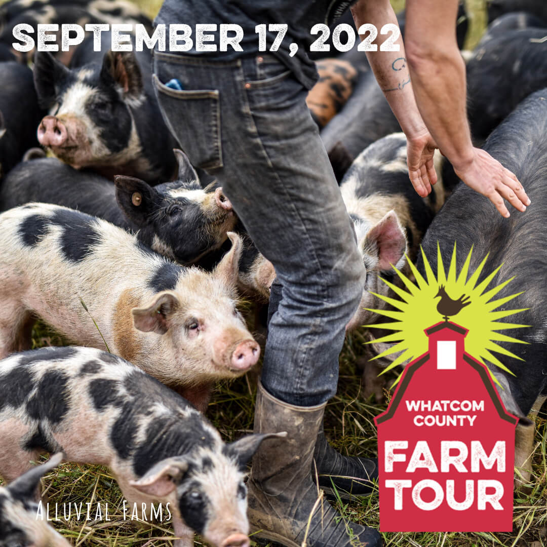 Whatcom County Farm Tour