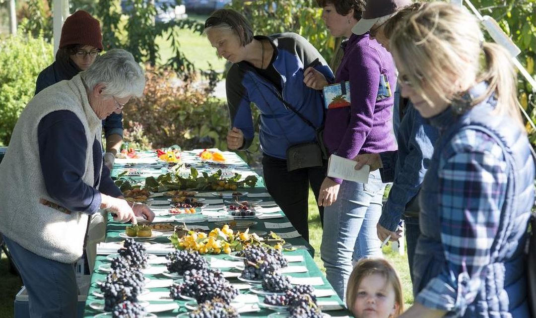 Whatcom County nonprofit steps in to permanently protect educational farm center – Bellingham Herald