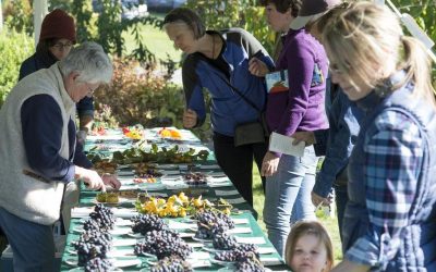 Whatcom County nonprofit steps in to permanently protect educational farm center – Bellingham Herald
