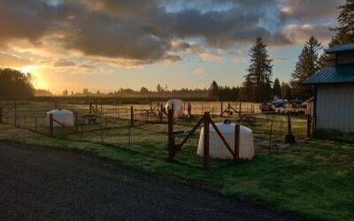 Grace Harbor Farms: How the “Microbrewery of Dairy” Feeds the Next Generation