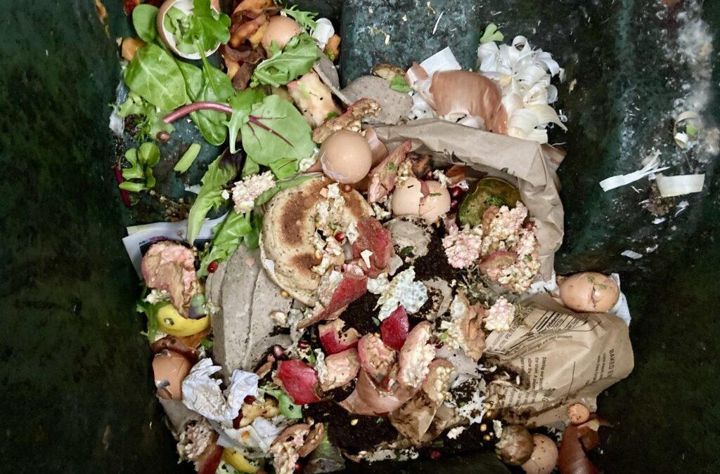 Students warn that food waste contributes to overuse of water, climate change