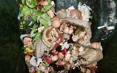 Students warn that food waste contributes to overuse of water, climate change