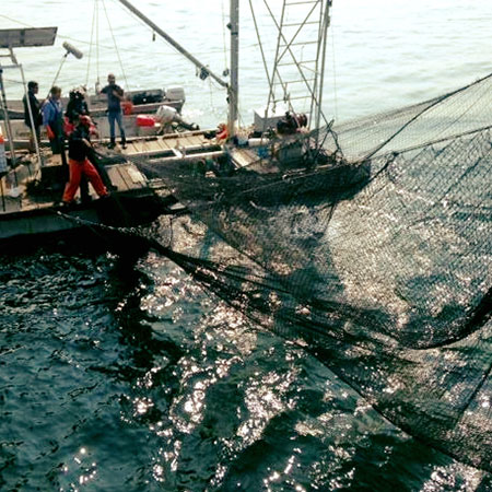 Lummi Island Wild Fishing