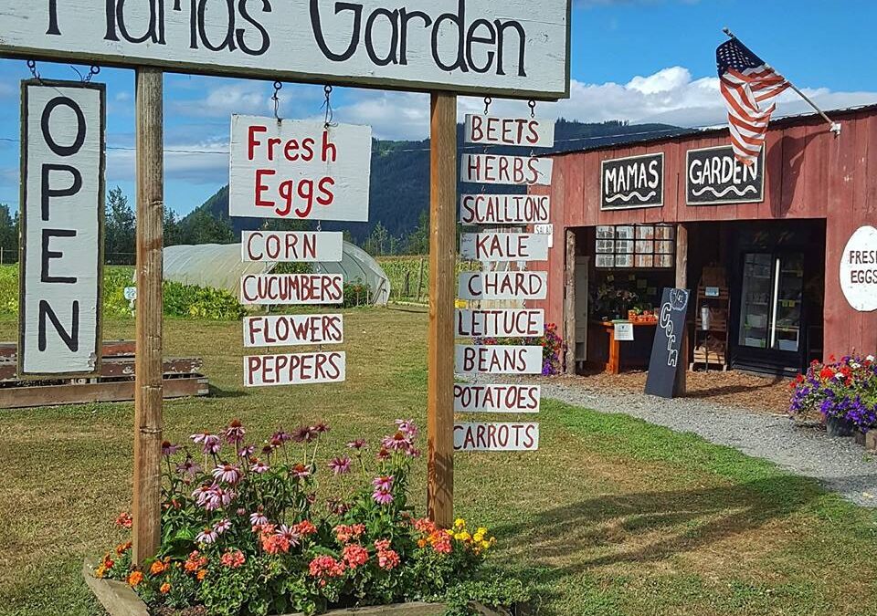 Find Mama’s Garden on the Farm to Table Trails: The Farm Stand Where Everyone Is Family