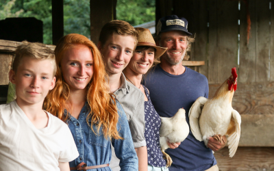 Osprey Hill Farm: A small farm taking big steps toward sustainability