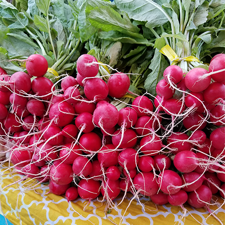 Rabbit Fields Radishes