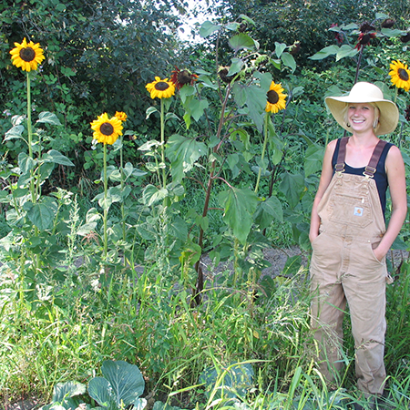 Roslyn Sunflowers